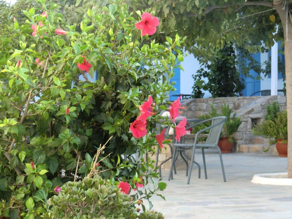 Mykonos Vouniotis Rooms Mykonos Town Ngoại thất bức ảnh